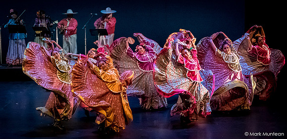 Ethnic Dance Festival #23