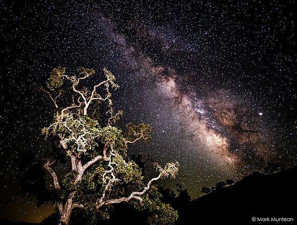 Starry Skies - Night Time Views of the Milky Way Galaxy #9