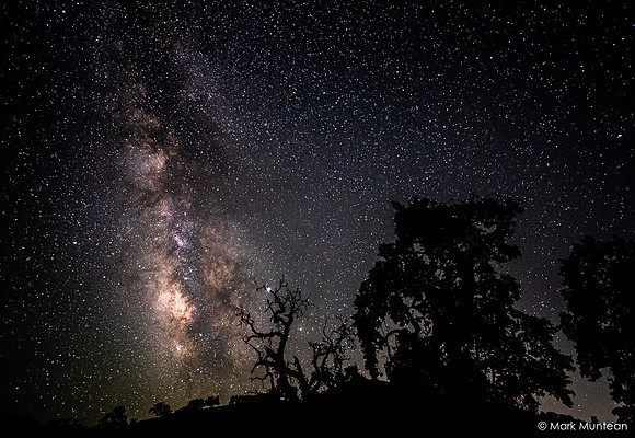 Starry Skies - Night Time Views of the Milky Way Galaxy #10