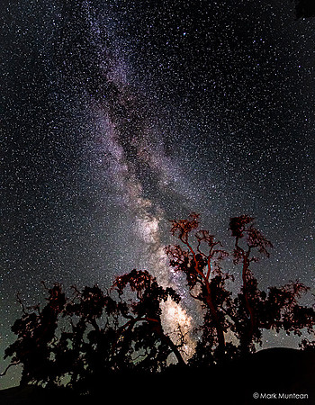 Starry Skies - Night Time Views of the Milky Way Galaxy #11