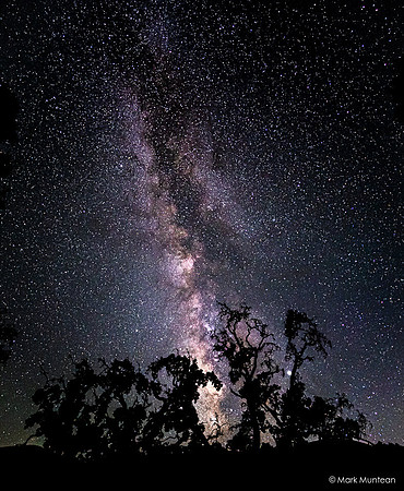 Starry Skies - Night Time Views of the Milky Way Galaxy #12
