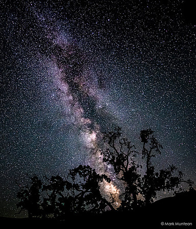 Starry Skies - Night Time Views of the Milky Way Galaxy #13